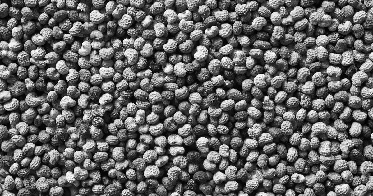 Économie : les granulés de bois rebondissent, les darons respirent