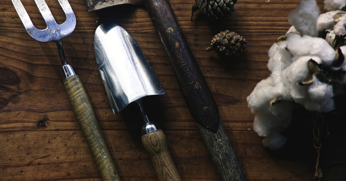 5 outils de jardin qui préservent le dos quand on a passé 40 ans